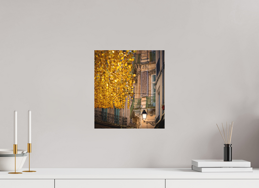 "Golden Street" Beziers, France