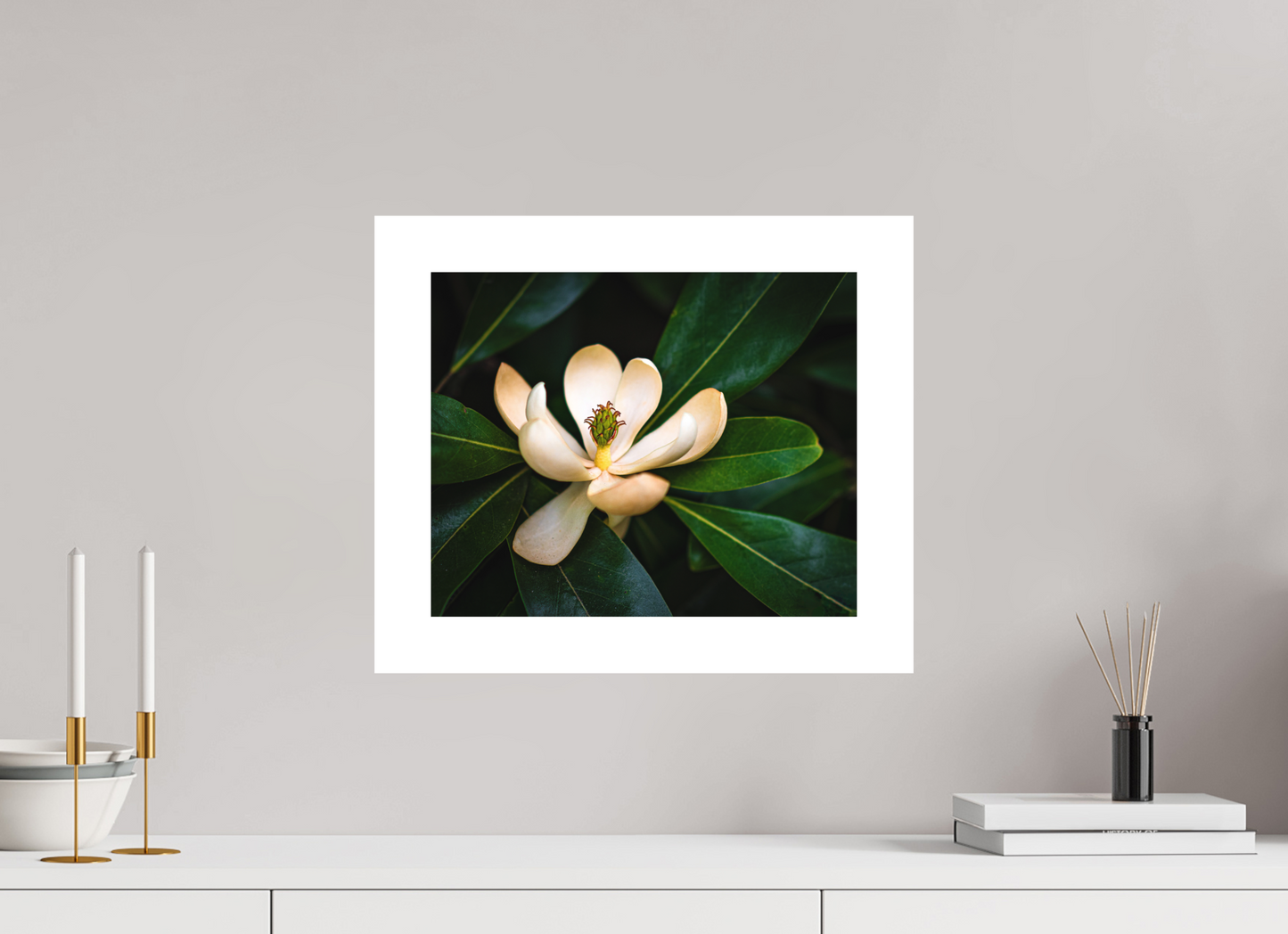 Magnolia In Bloom