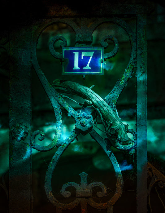 17 Ornate Gate