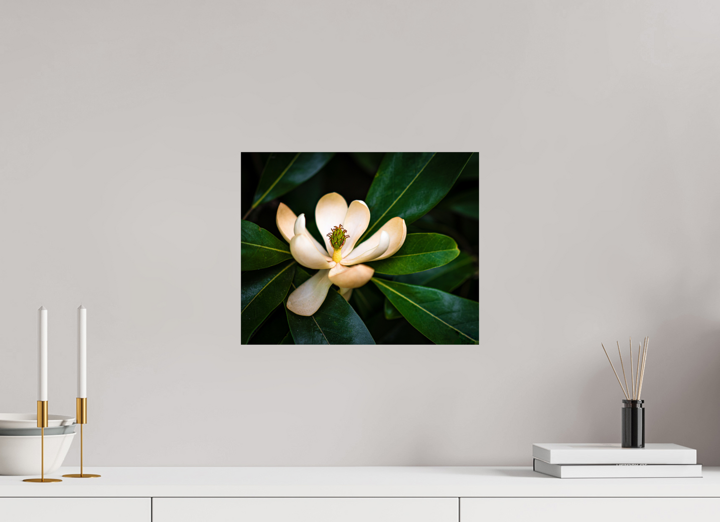 Magnolia In Bloom