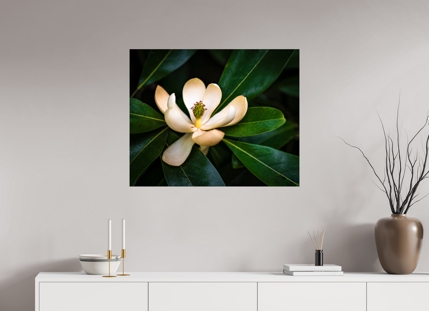 Magnolia In Bloom