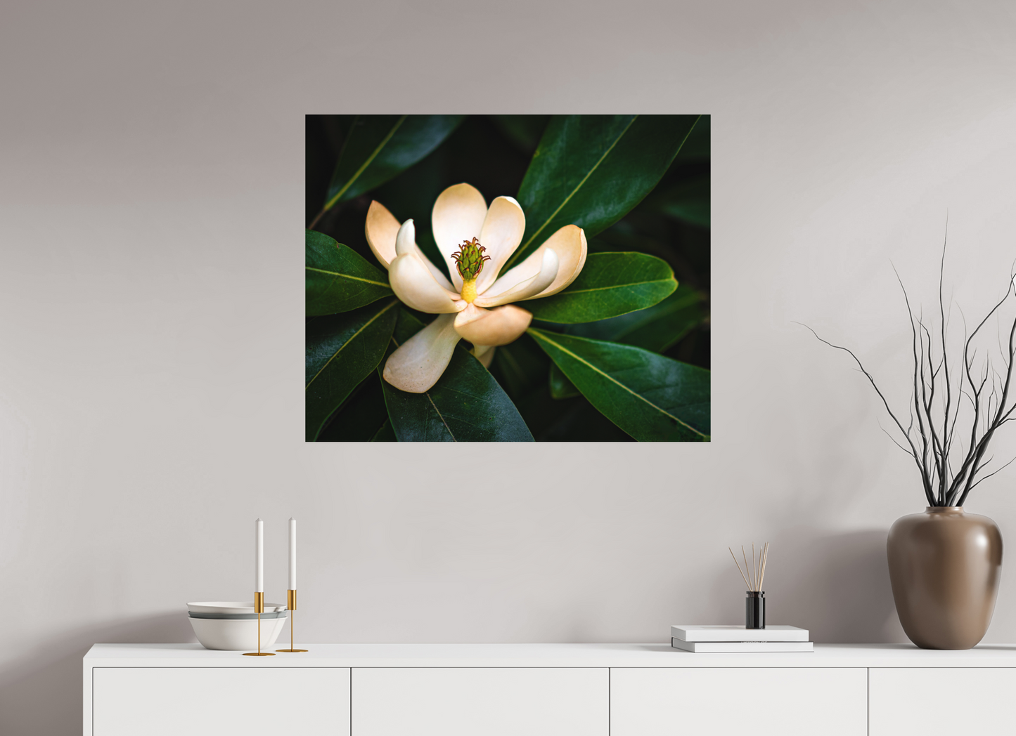 Magnolia In Bloom