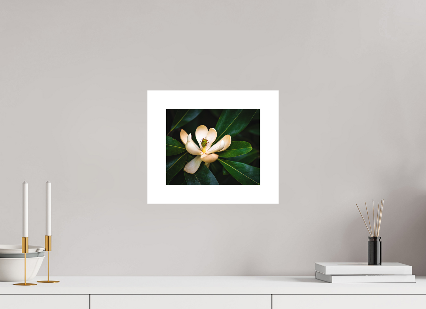Magnolia In Bloom