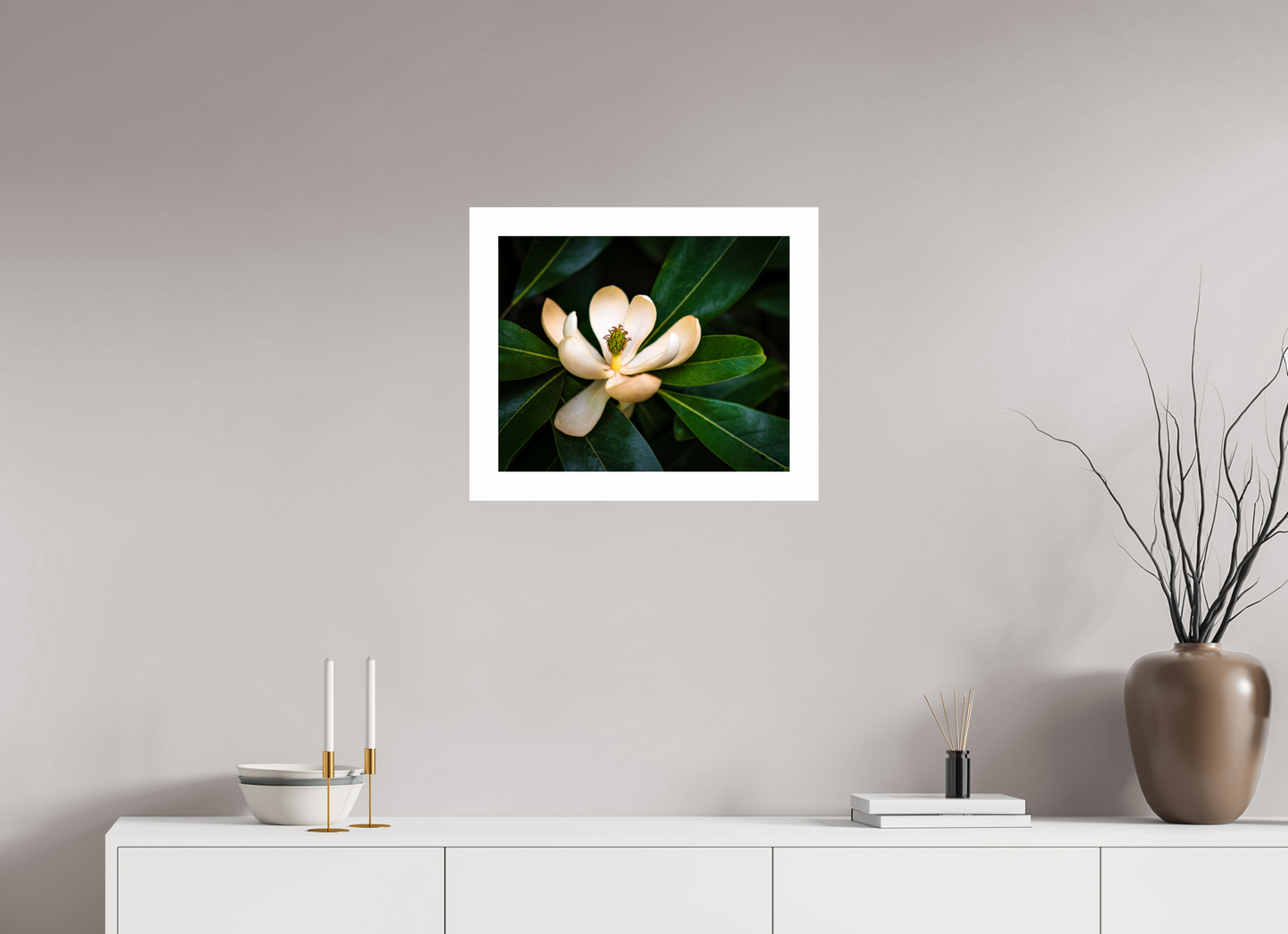 Magnolia In Bloom