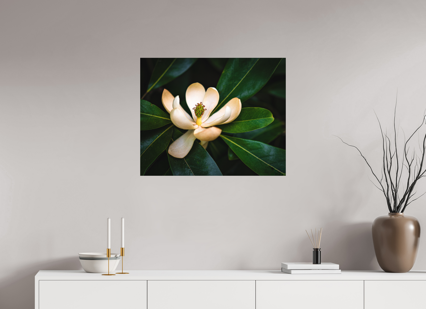 Magnolia In Bloom
