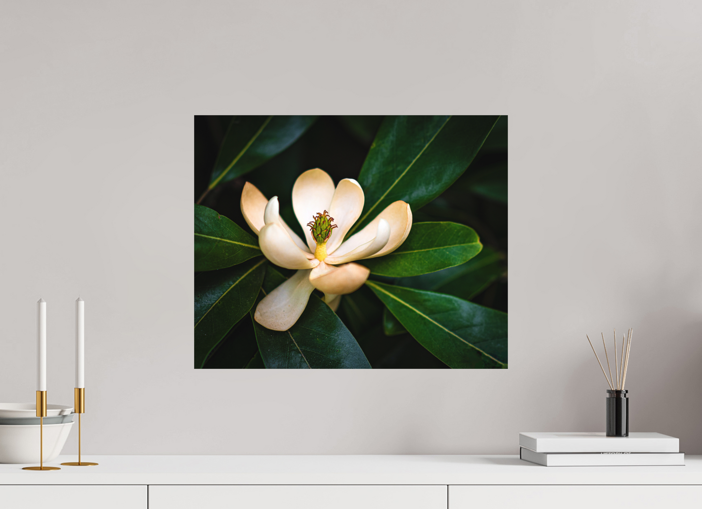 Magnolia In Bloom