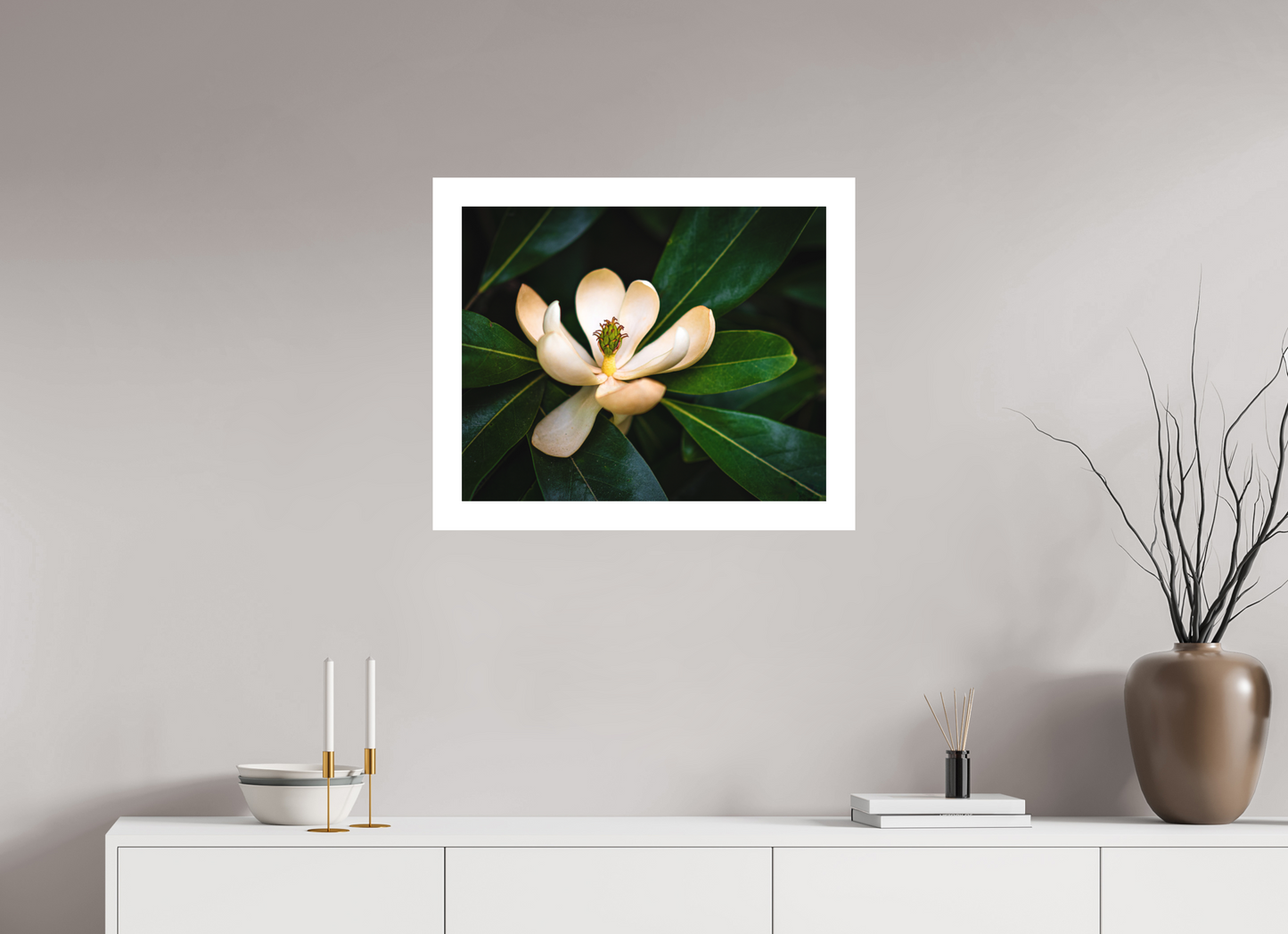 Magnolia In Bloom