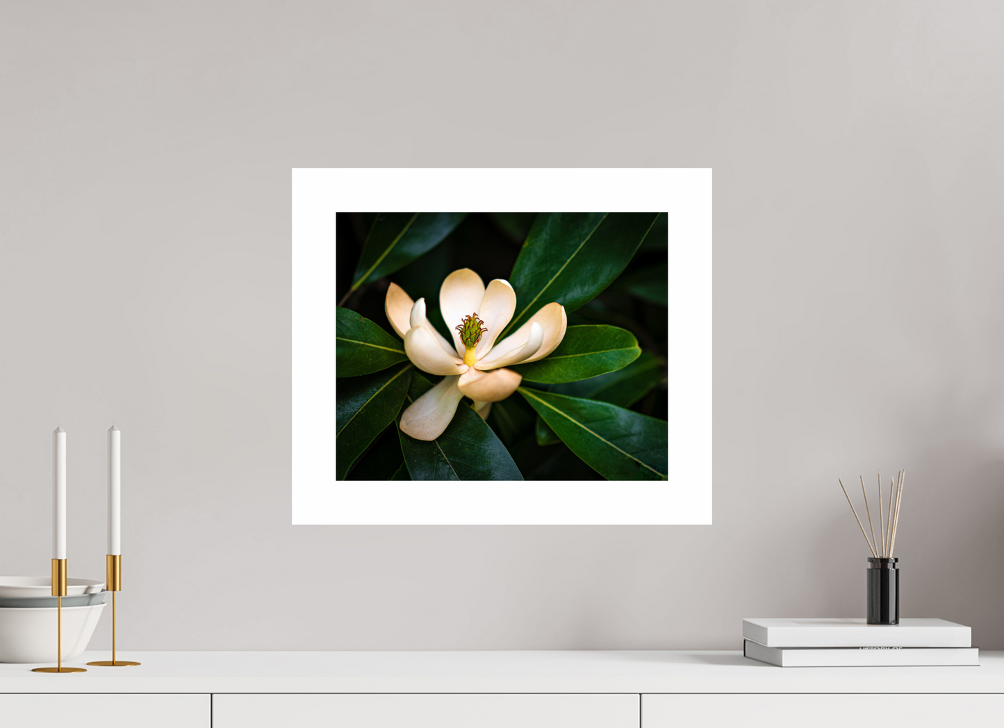 Magnolia In Bloom