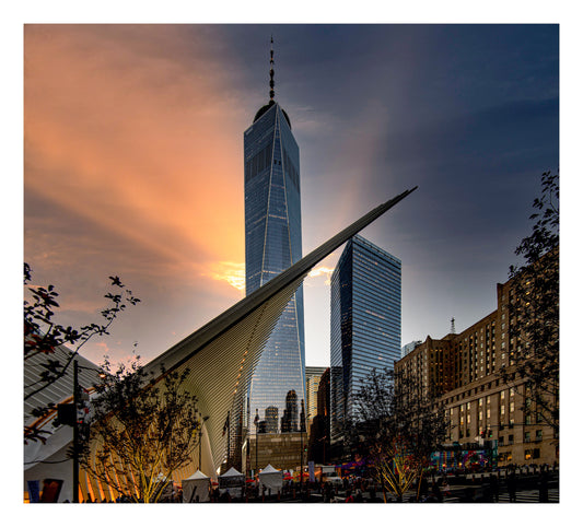 The Oculus & Other Buildings - World Trade Center, NYC