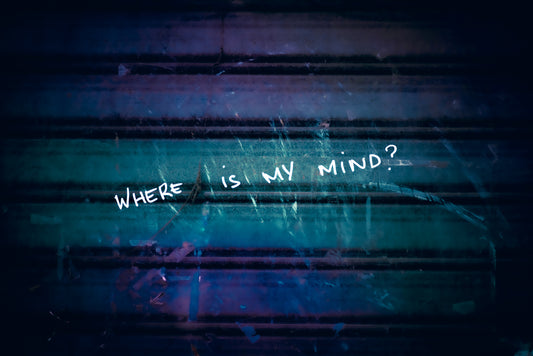 "Where Is My Mind?" Narbonne, France