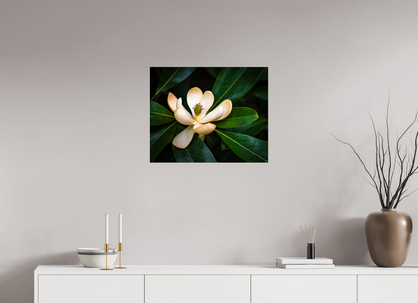 Magnolia In Bloom