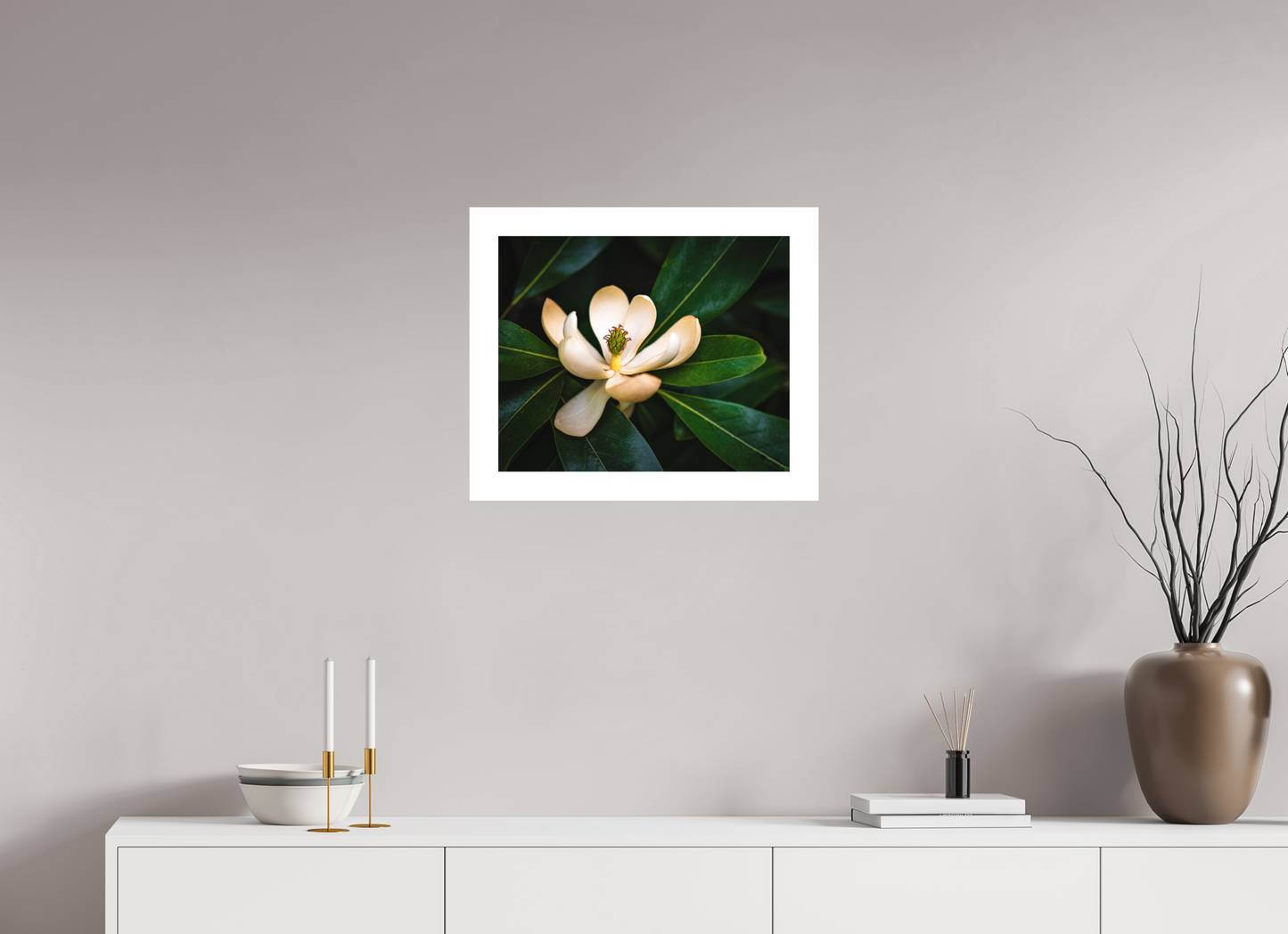 Magnolia In Bloom