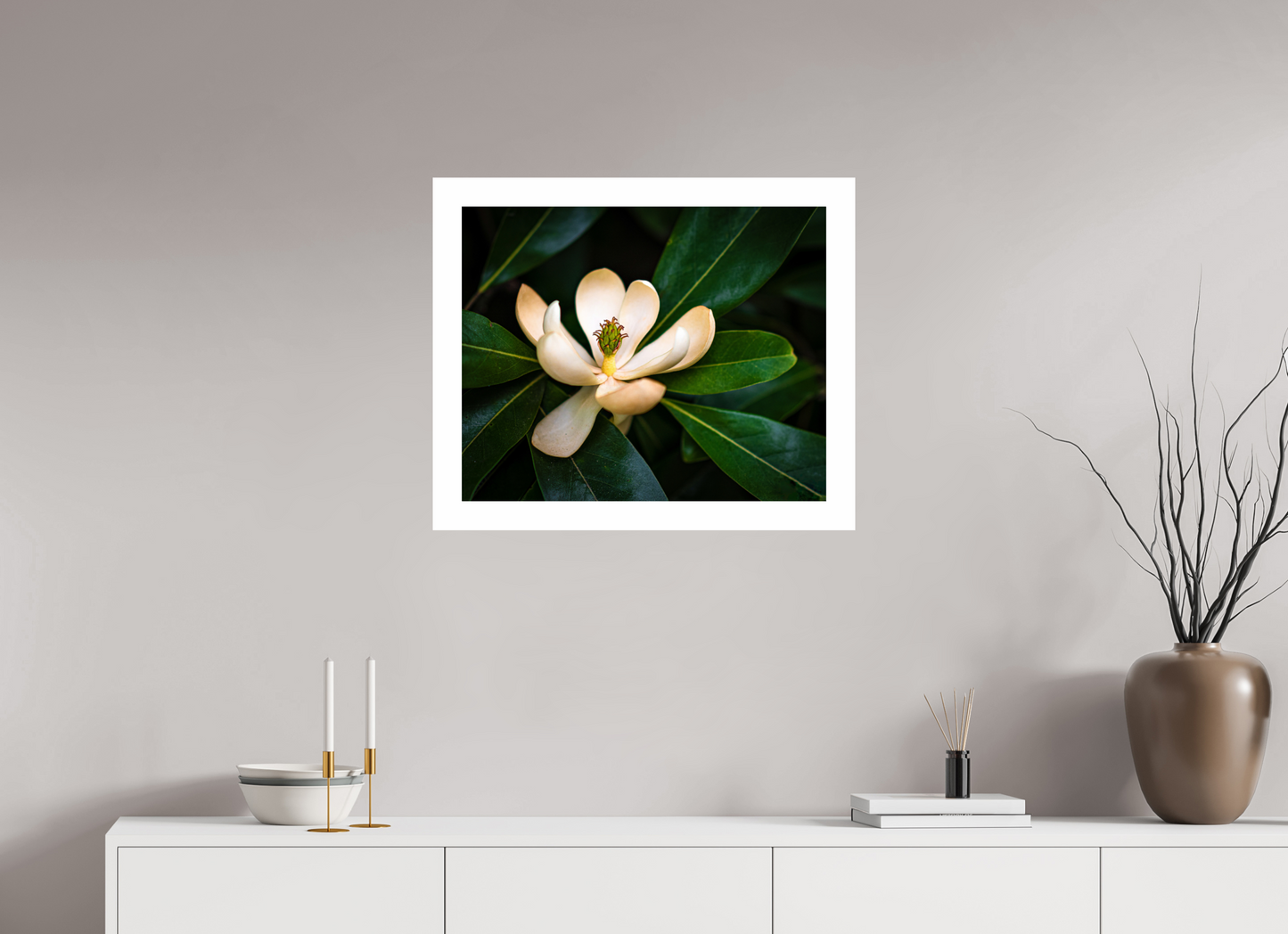 Magnolia In Bloom