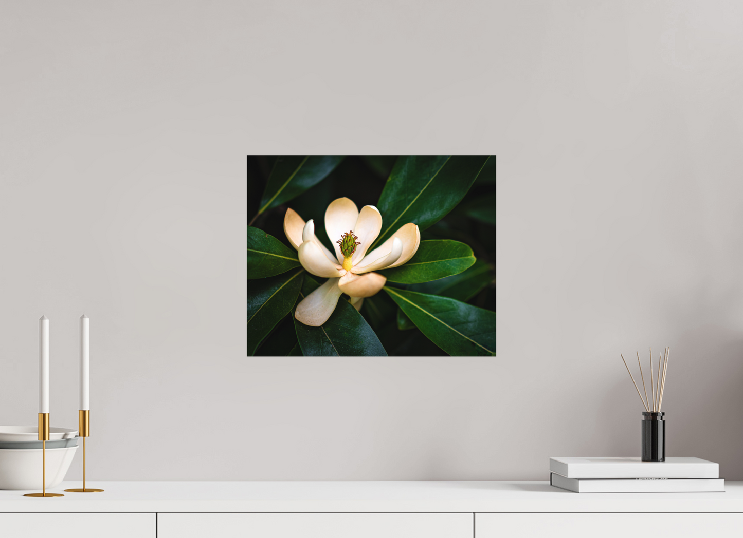 Magnolia In Bloom