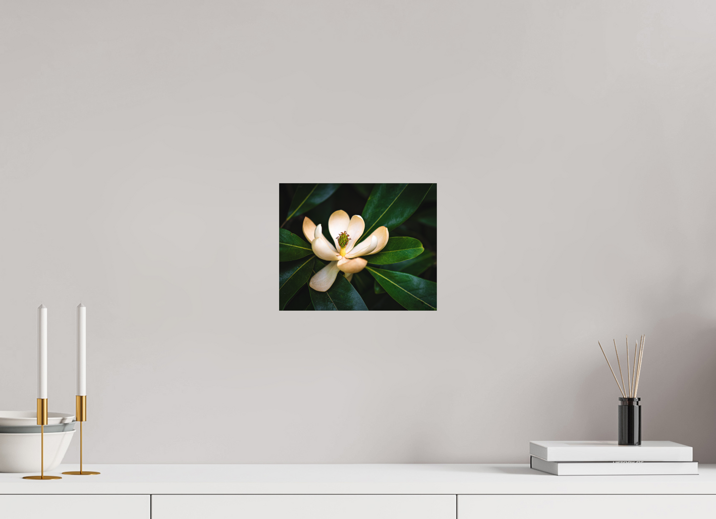 Magnolia In Bloom